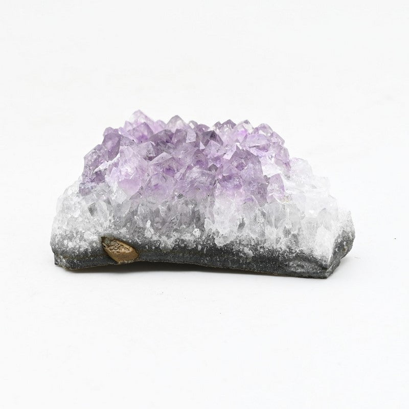 Géode d'Améthyste (56g) Réf : AME-P26