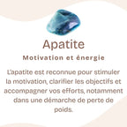 [MODÈLE UNIQUE] Bracelet "Motivation" en Apatite Bleue & Argent 925 - Pièce de Bijouterie - REF2