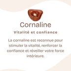 Pendentif "Ancrage Doux"Goutte en Cornaline