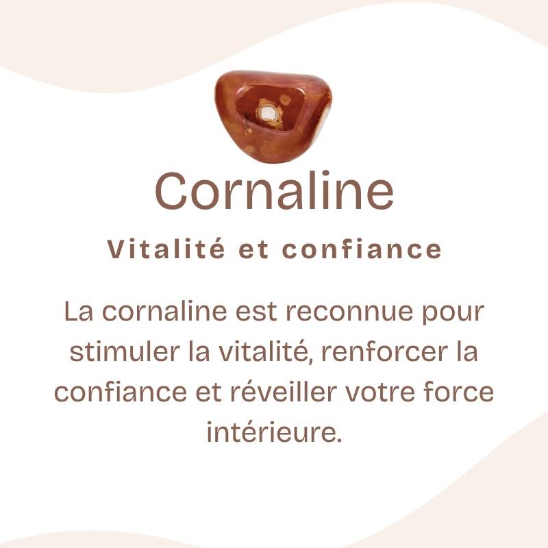 Pendentif "Ancrage Doux"Goutte en Cornaline
