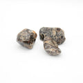 Pierre roulée "Énergie" en Agate Fossile (Lot de 30g)