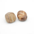 Pierre roulée "Lacher Prise" en Bois Fossile (Lot de 2 pièces)